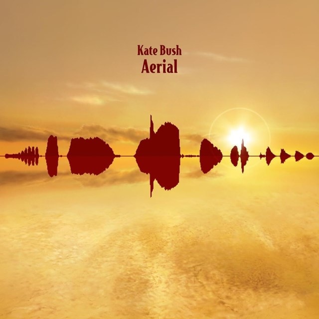 Aerial - 1