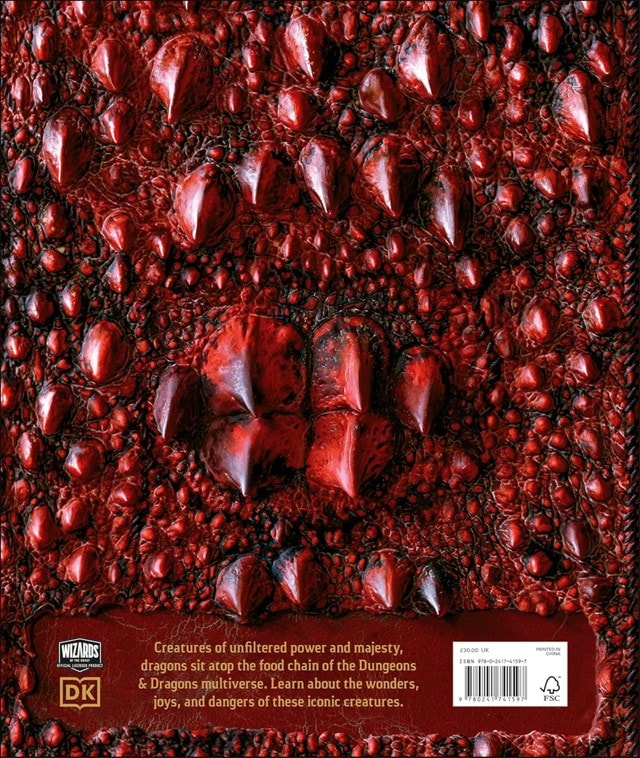 Dungeons & Dragons The Book Of Dragons D&D Hardback - 2