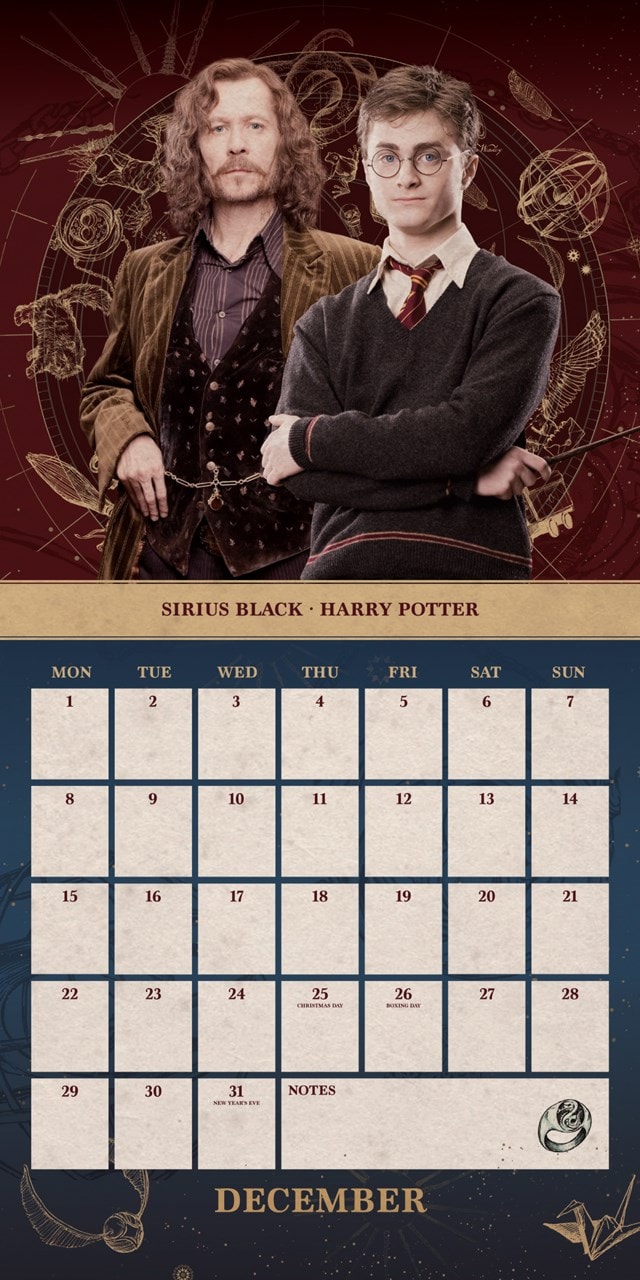 Harry Potter 2025 Calendar & Diary Gift Box - 7