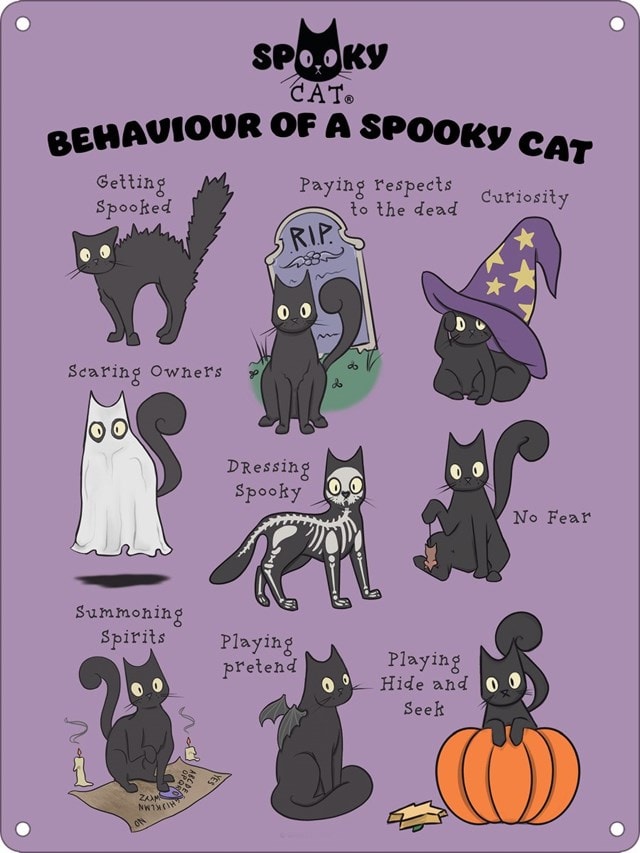 Behaviour Of A Spooky Cat Mini Tin Sign - 1