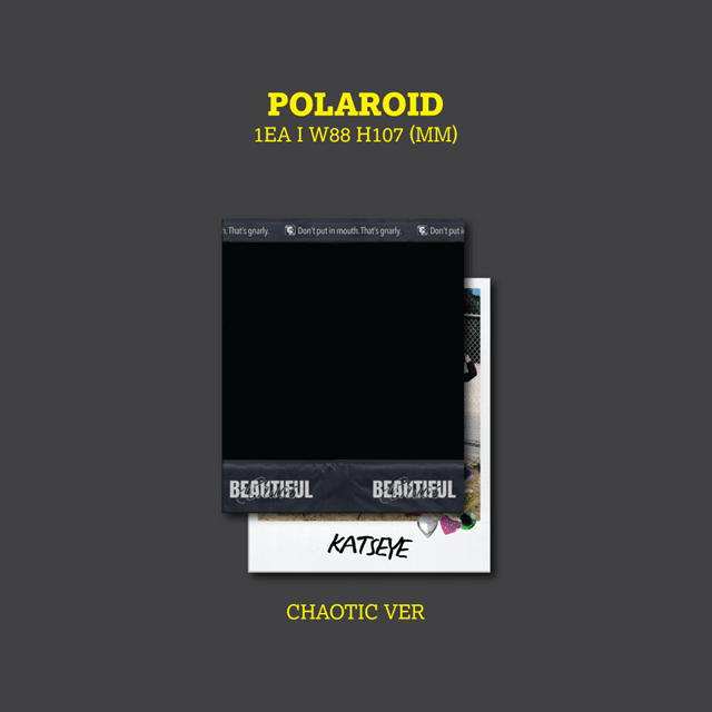 Beautiful Chaos (Chaotic Ver.) - 8