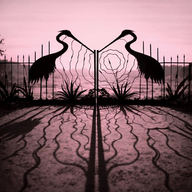 Soft Control - (hmv Exclusive) Pink and Black Smoke Vinyl - 2