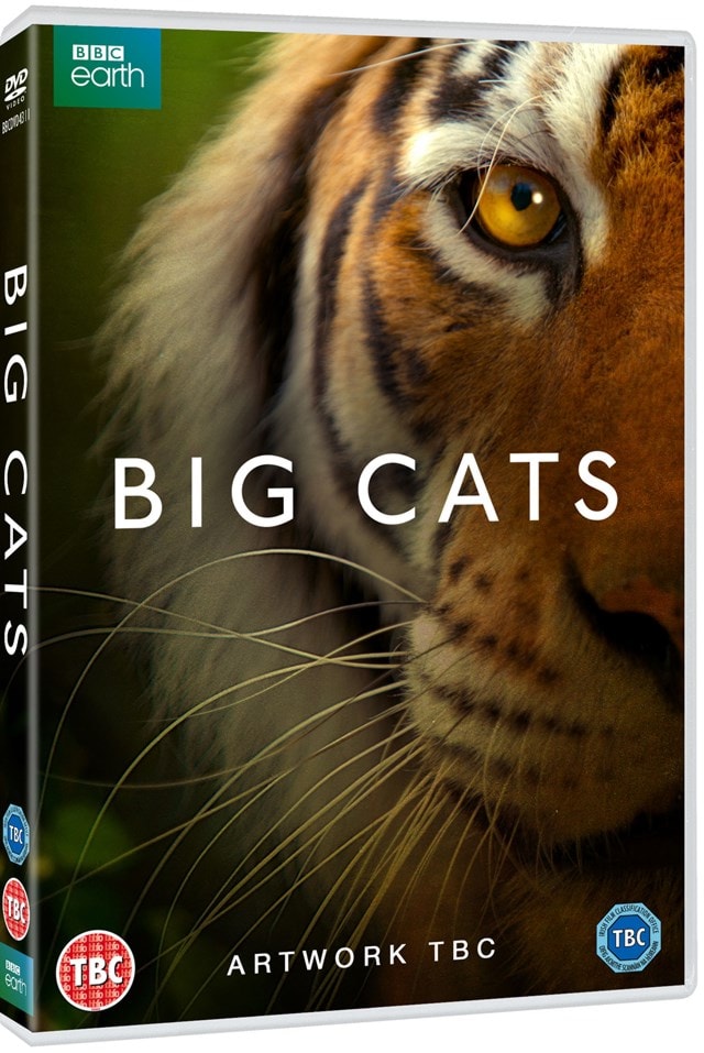 Big Cats - 2