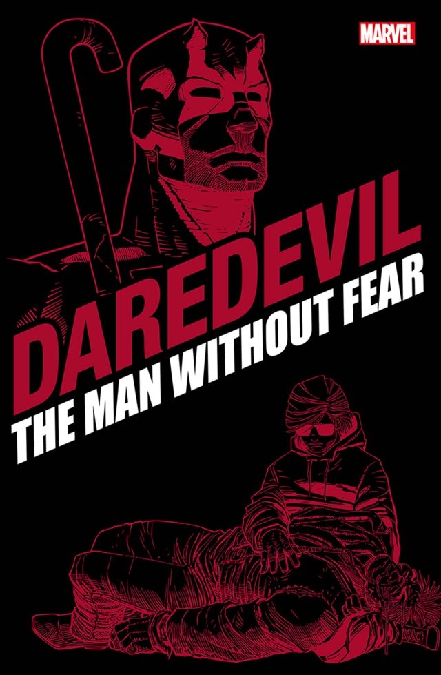 Daredevil The Man Without Fear Marvel Graphic Novel - 1