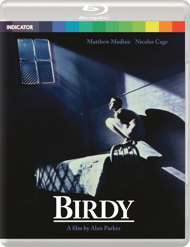 Birdy - 1