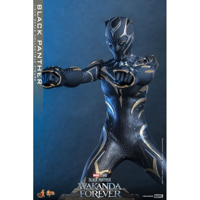1:6 Black Panther: Wakanda Forever Hot Toys Figurine - 6