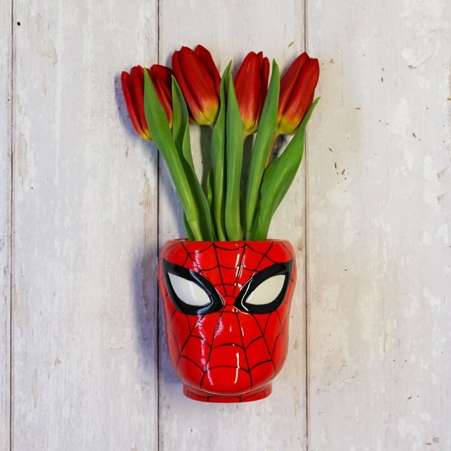 Spider-Man: Marvel Shaped Wall Vase - 4