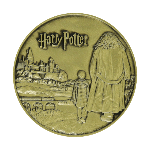 Hagrid Limited Edition Harry Potter Coin - 5