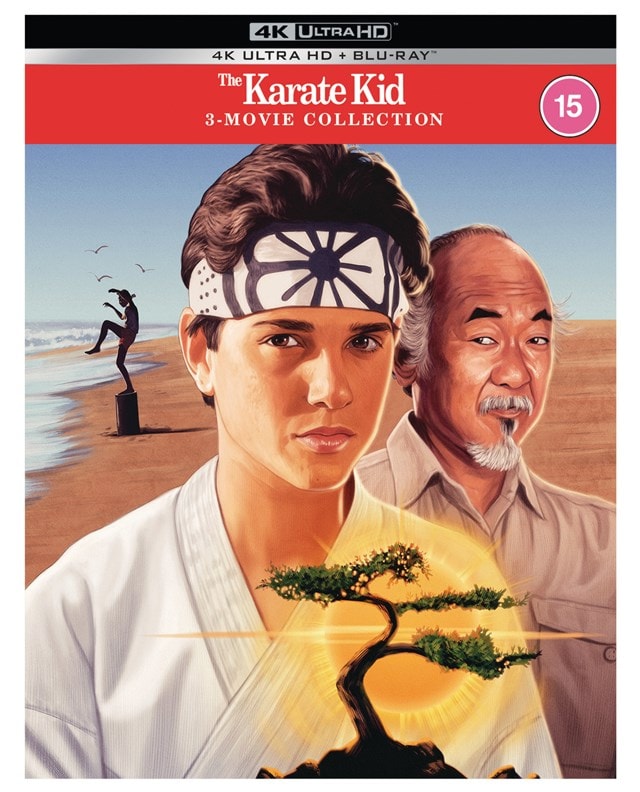 The Karate Kid/The Karate Kid 2/The Karate Kid 3 - 2