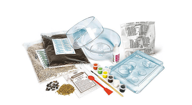 Hagrid's Hut Harry Potter Terrarium Kit - 3