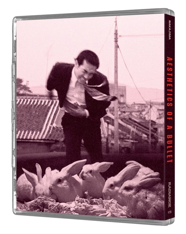 Aesthetics of a Bullet Limited Edition - 5
