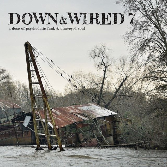 Down & Wired 7 - 1