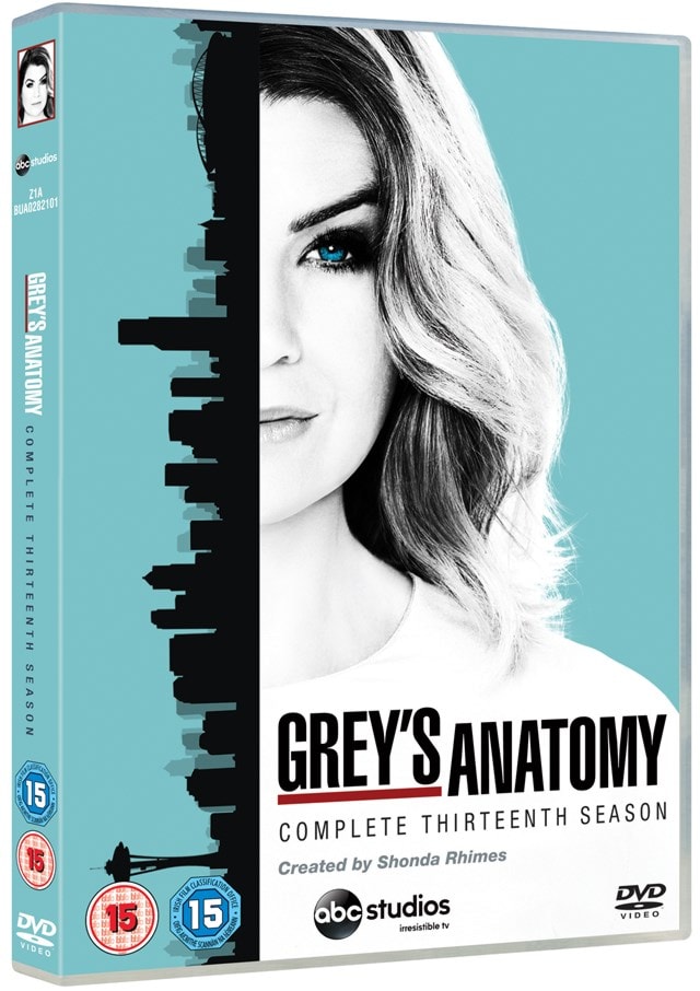 Grey's Anatomy: Complete Thirteenth Season - 2