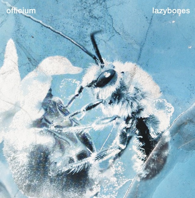 Lazybones - 1