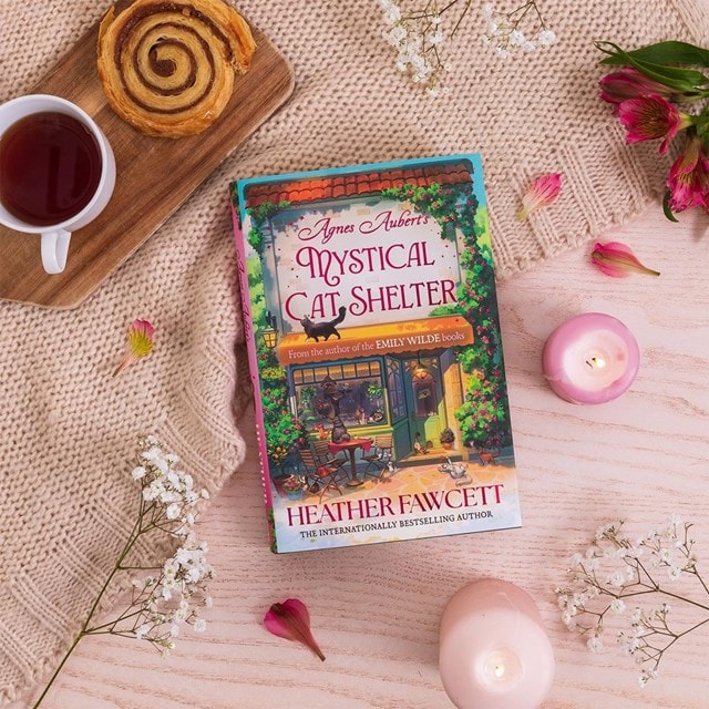 Agnes Aubert's Mystical Cat Shelter Hardback By Heather Fawcett - 4