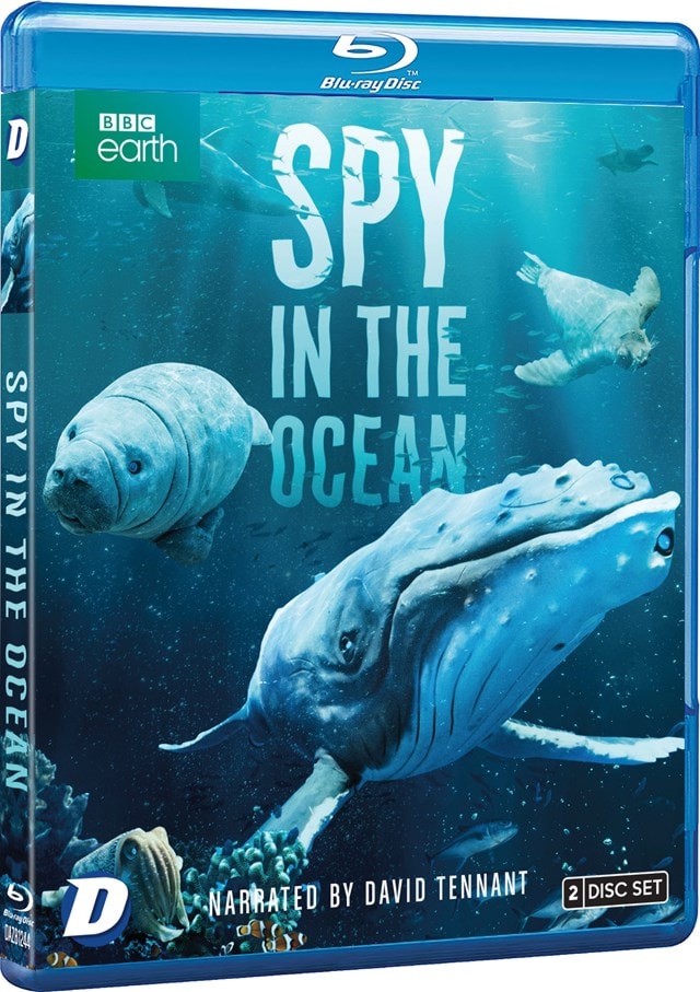 Spy in the Ocean - 2