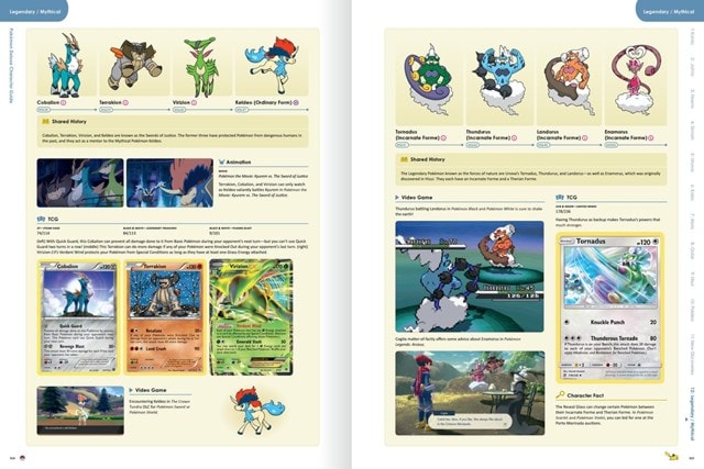 Pokemon Deluxe Hardback Character Guide - 5