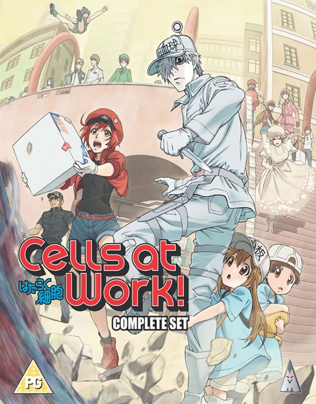 Cells at Work!: Complete Collection - 1