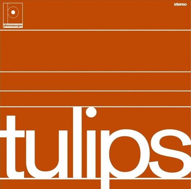 Tulips - 1