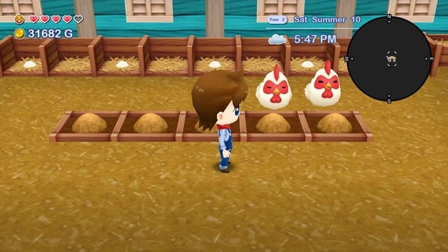 Harvest Moon: The Lost Valley & Skytree Village Collectors Edition (Switch) - 6