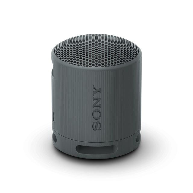 Sony SRSXB100 Black Bluetooth Speaker - 1