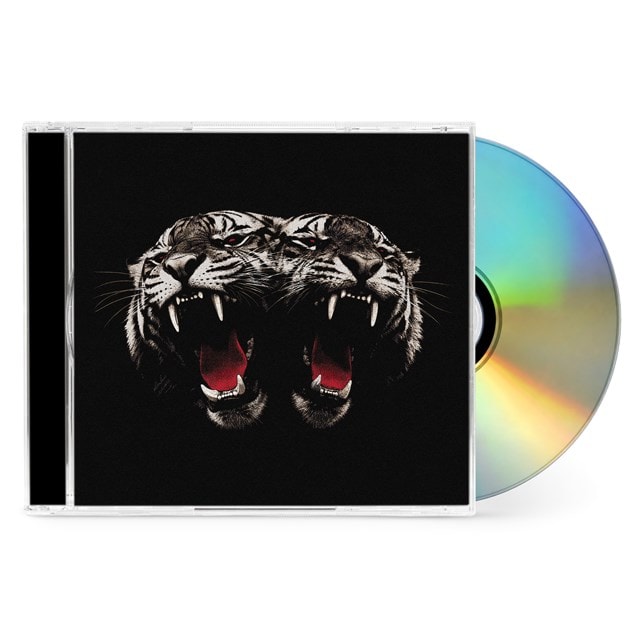 Dead Company - 2