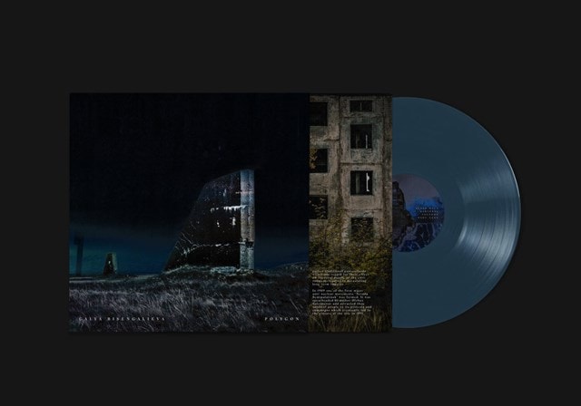 Polygon | Vinyl 12