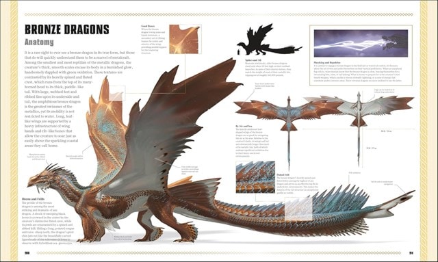 Dungeons & Dragons The Book Of Dragons D&D Hardback - 8