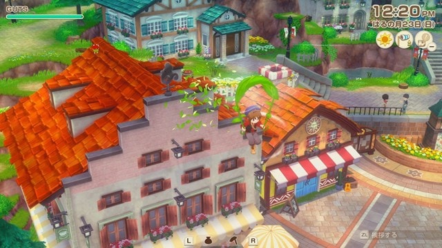 Story of Seasons: Grand Bazaar (NS2) - 7