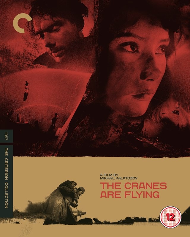 The Cranes Are Flying - The Criterion Collection - 1