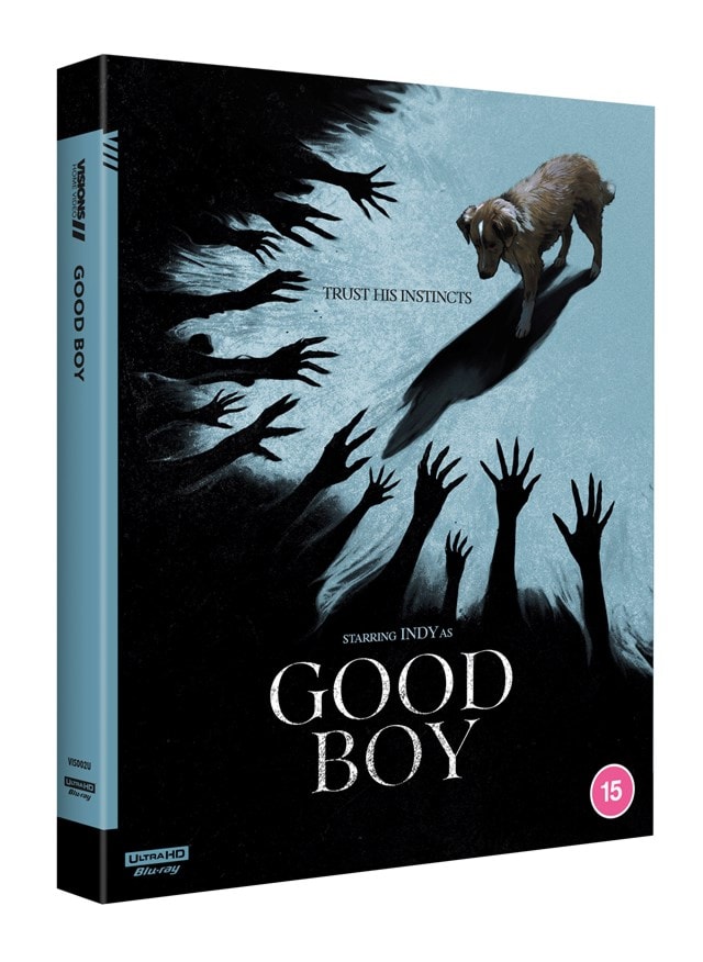 Good Boy - 2