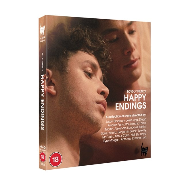 Boys On Film 24 - Happy Endings - 4