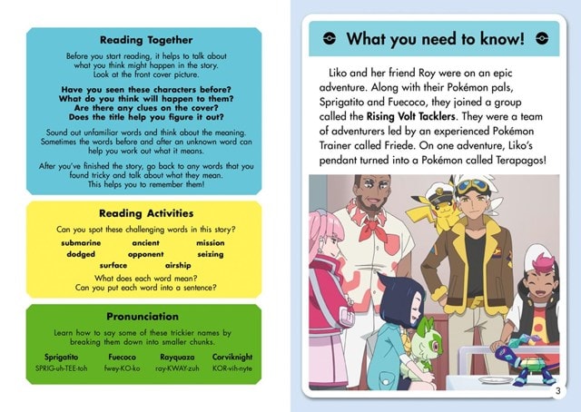 Pokémon Young Readers Level 3: Roar of the Black Rayquaza Paperback - 3