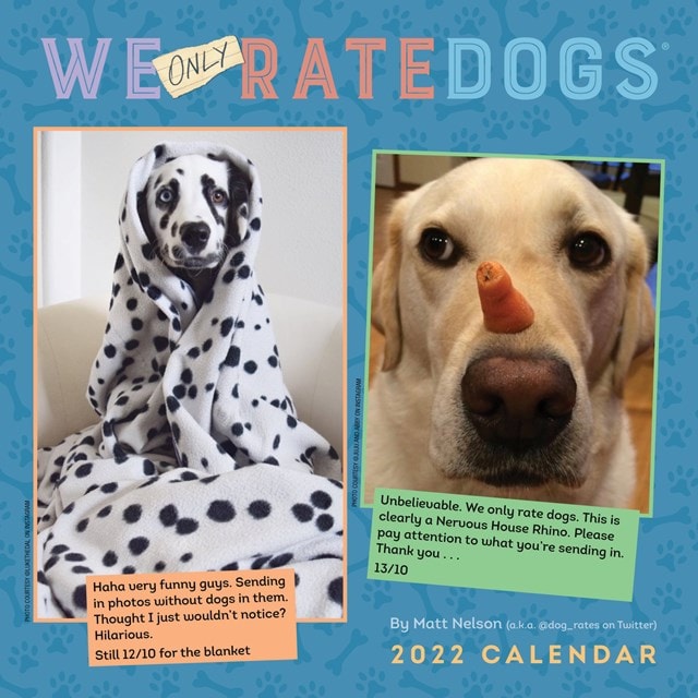 We Only Rate Dogs Square 2022 Calendar Calendars Free shipping over
