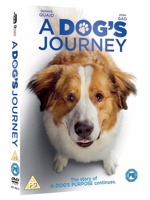 A Dog's Journey - 2