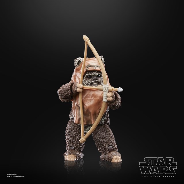Wicket Hasbro Star Wars The Black Series Return of the Jedi 40th Anniversary Action Figure - 3