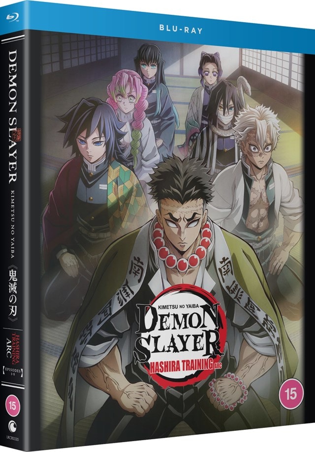Demon Slayer: Kimetsu No Yaiba - Hashira Training Arc - 2