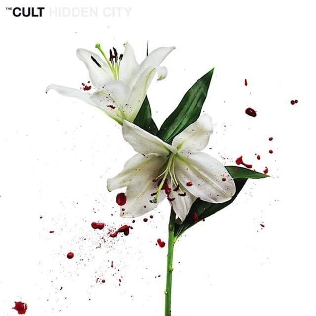 Hidden City - 1