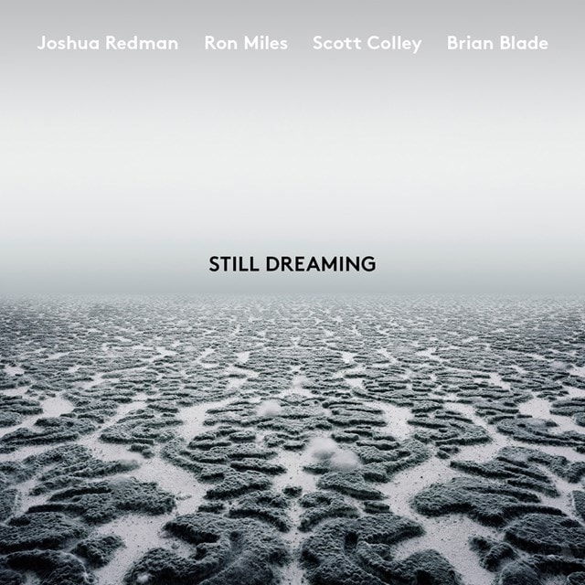 Still Dreaming (Feat. Ron Miles, Scott Colley & Brian Blade) - 1