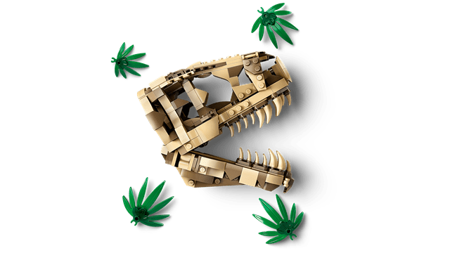 Dinosaur Fossils T Rex Skull LEGO - 5