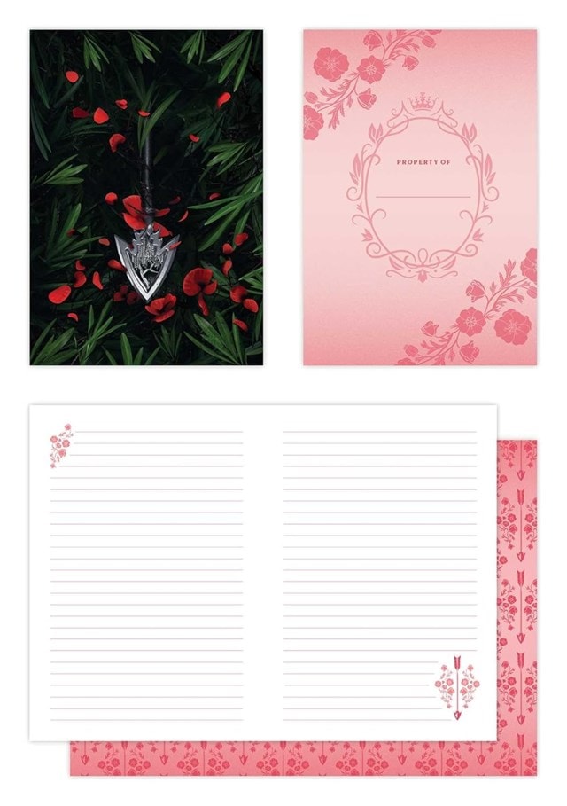Powerless Trilogy Notebook Box Set - 4