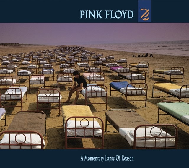 A Momentary Lapse of Reason - 1