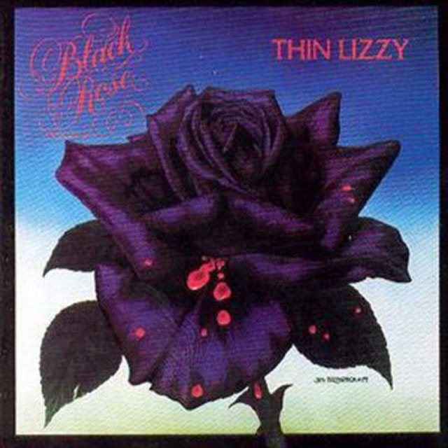 Black Rose - 1