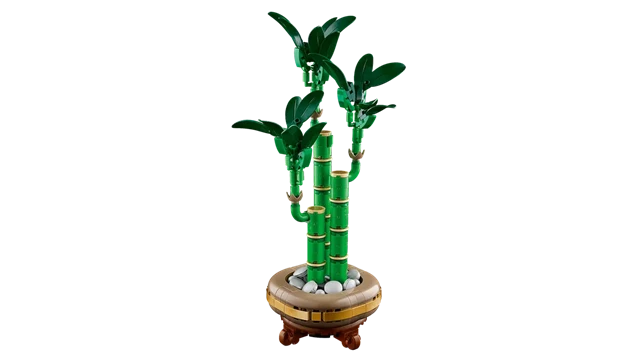 Lucky Bamboo Botanicals LEGO - 3