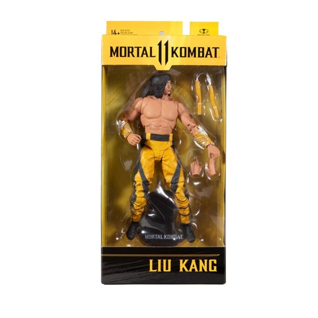 Liu Kang (Fighting Abbot) Wave 7 Motal Kombat Action Figure - 8