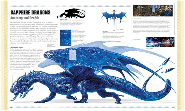 Dungeons & Dragons The Book Of Dragons D&D Hardback - 9