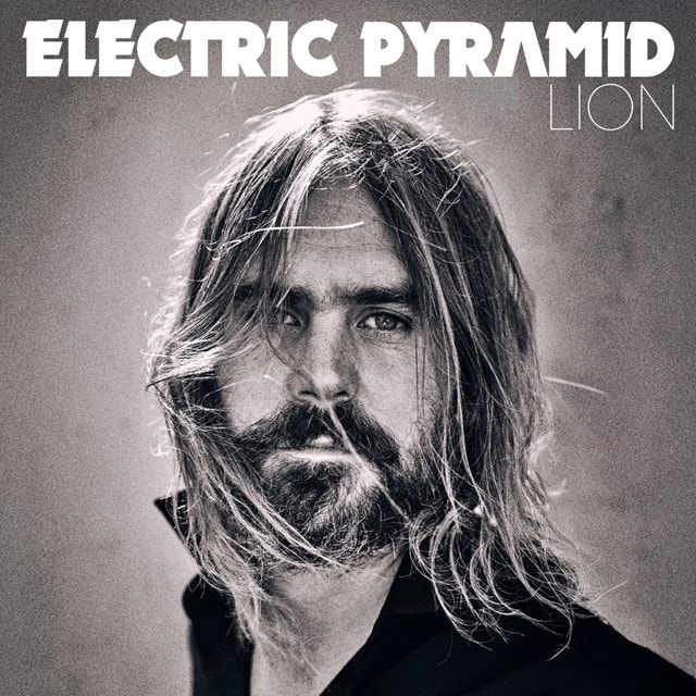 Lion - 1