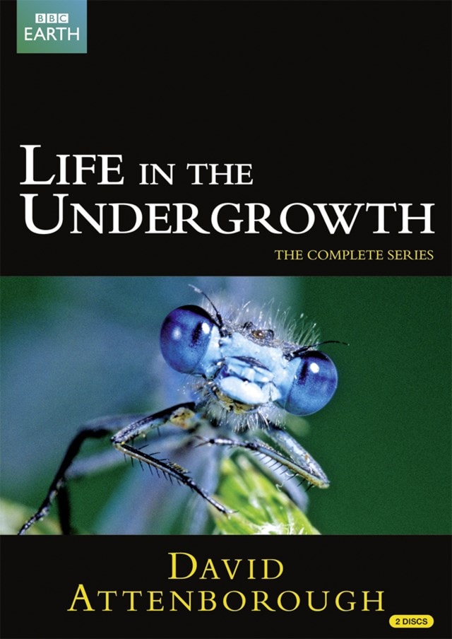 David Attenborough: Life in the Undergrowth - The Complete Seires - 1