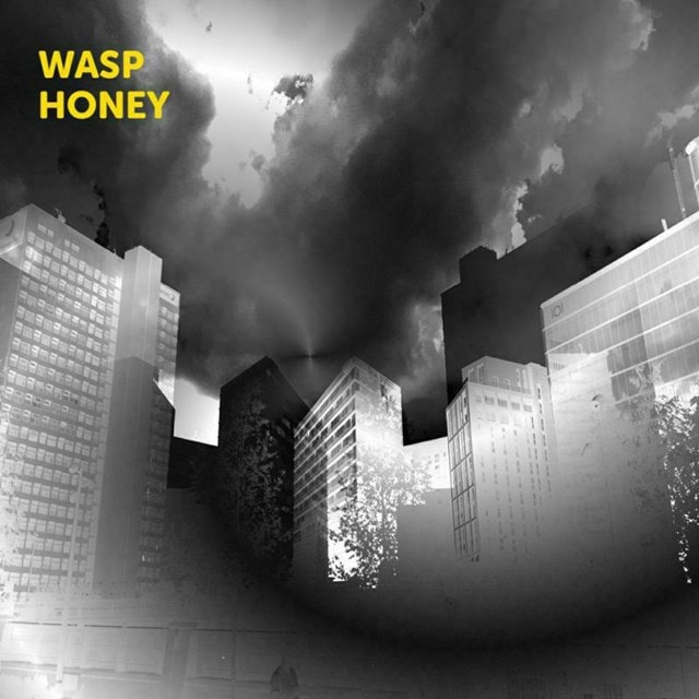 Wasp Honey - 1