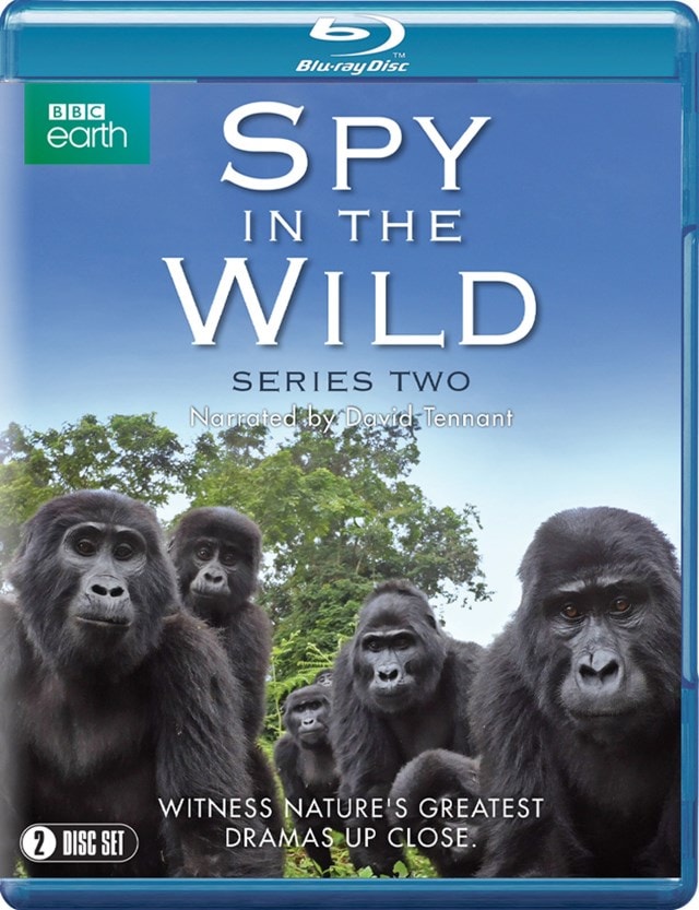 Spy in the Wild: Series Two - 1